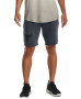 1377429-012 UNDER ARMOUR PROJECT ROCK TERRY SHORTS